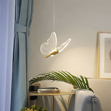 WINGS (Open Box)