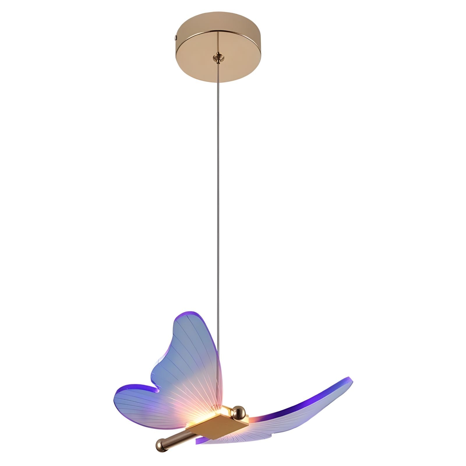 WINGS (Open Box)