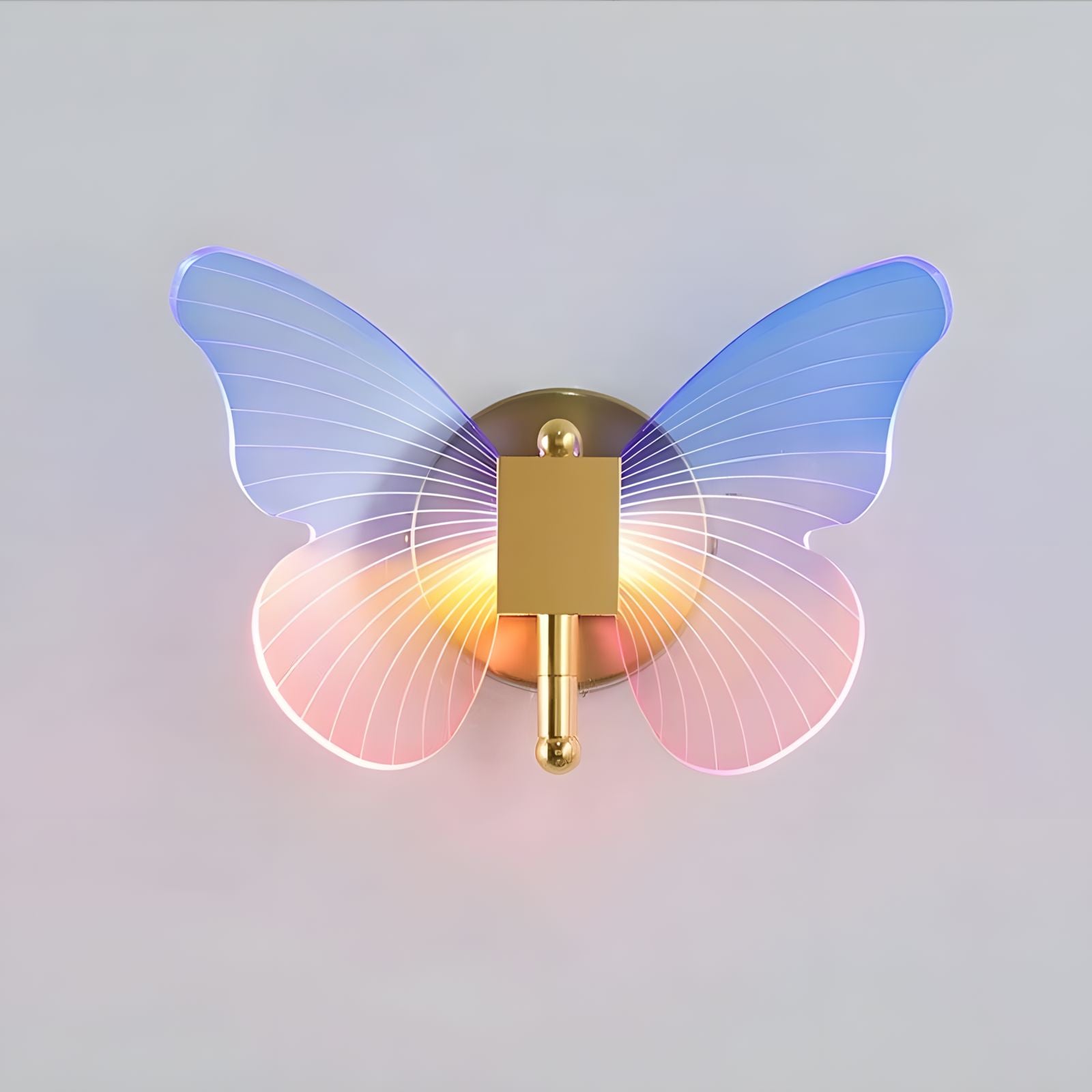 WINGS (Open Box)
