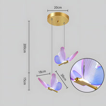 WINGS (Open Box)