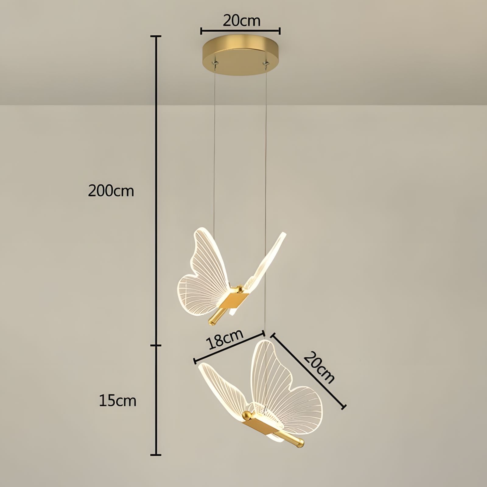 WINGS (Open Box)