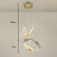 WINGS (Open Box)