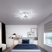 ZENARA - ZENDUCE - Black Ash / Small / Warm White