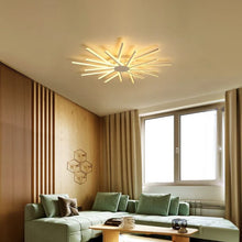 ZENARA - ZENDUCE - Black Ash / Small / Warm White