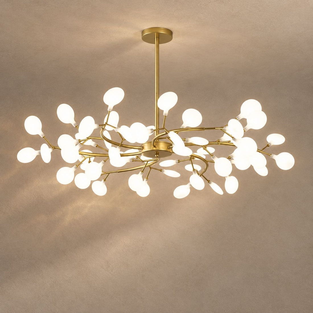AILAN lighting on a mushroom taupe background with natural shadows
