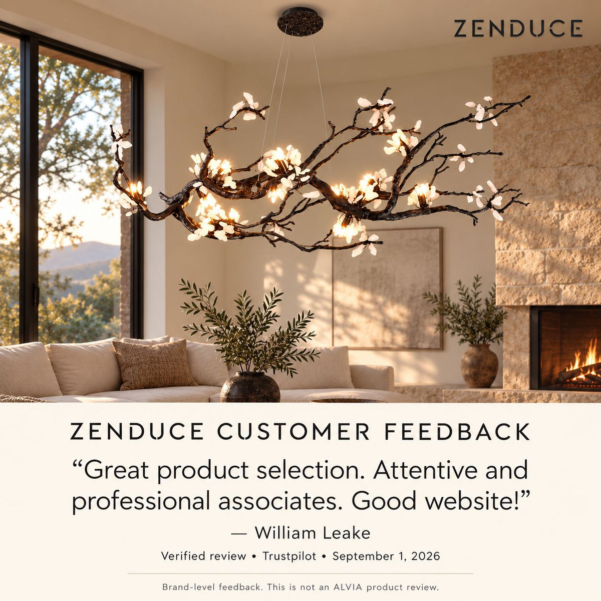 Verified Zenduce company feedback from William Leake on Trustpilot, clearly labeled as brand-level feedback