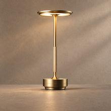 AMBIENCE lighting on a mushroom taupe background with natural shadows