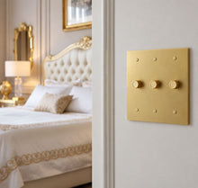 Brass Rotary Light Switch (Open Box)
