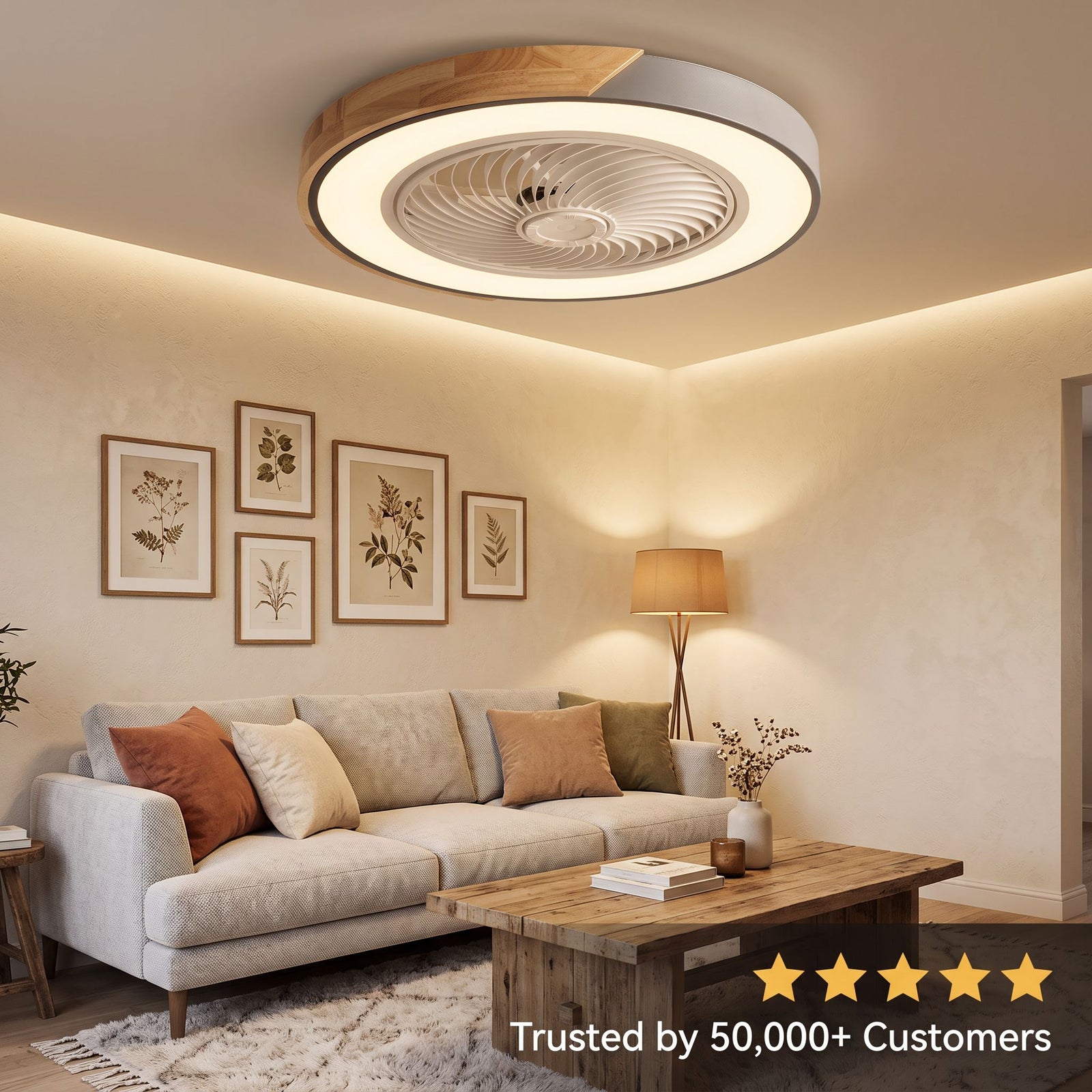 HERA ceiling fan trusted by customers