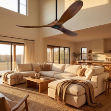 ORIELLE fan in living room