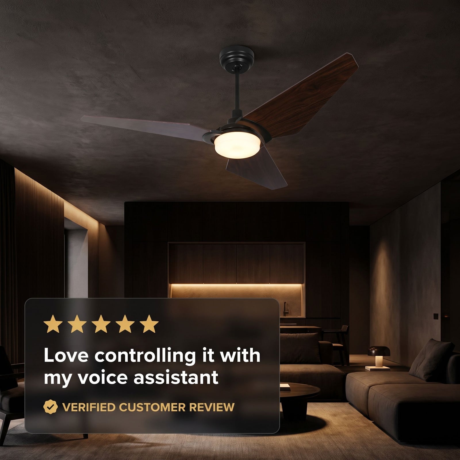 SAELIA fan customer review