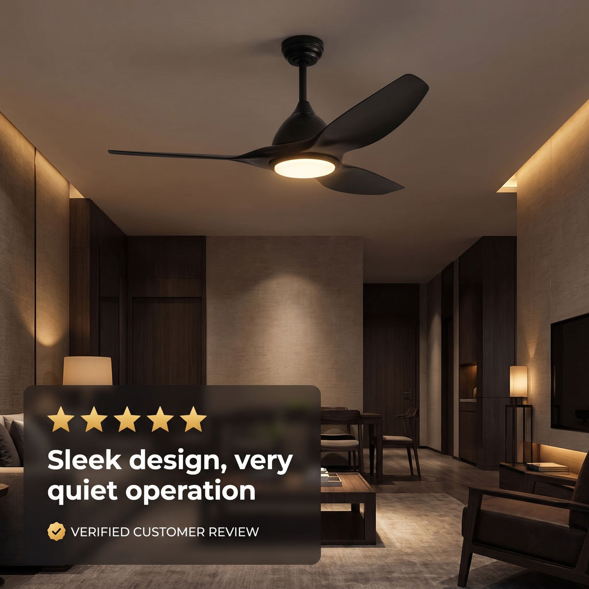 SIENA fan customer review