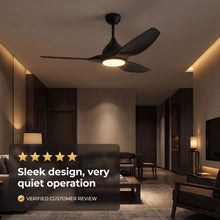 SIENA fan customer review