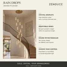 RAIN DROPS 14-light round chandelier with callouts for clear crystal droplets, adjustable wires, two canopy shapes and light-control choices.