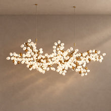 SPORE (OPEN BOX) lighting on a mushroom taupe background with natural shadows