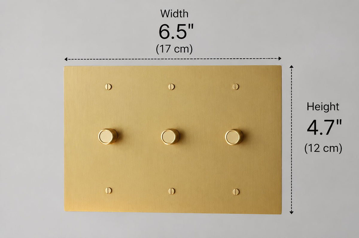 Brass Rotary Light Switch (Open Box)