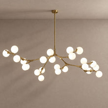 SYCAMORE lighting with natural shadows against a mushroom taupe background