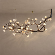 VEYRA (Open Box) lighting on a mushroom taupe background with natural shadows