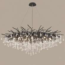 Black Branch Crystal Chandelier linear on a mushroom taupe background
