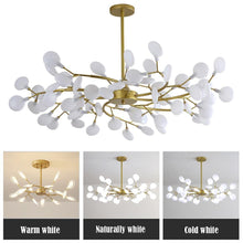 AILAN - ZENDUCE - Transparent / 27-Light / Warm White