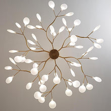 AILAN - ZENDUCE - Transparent / 27-Light / Warm White