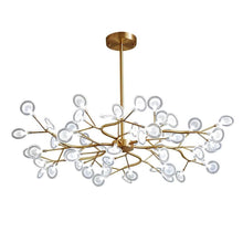 AILAN - ZENDUCE - Transparent / 27-Light / Warm White